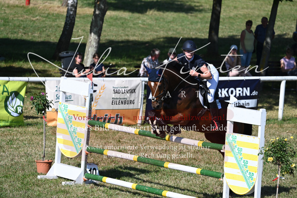 DSC_2107 | Pferde- und Turnierfotografie in Westsachsen. Pferdeportraits, Auftragszeichnungen und intuitive Kunst.
