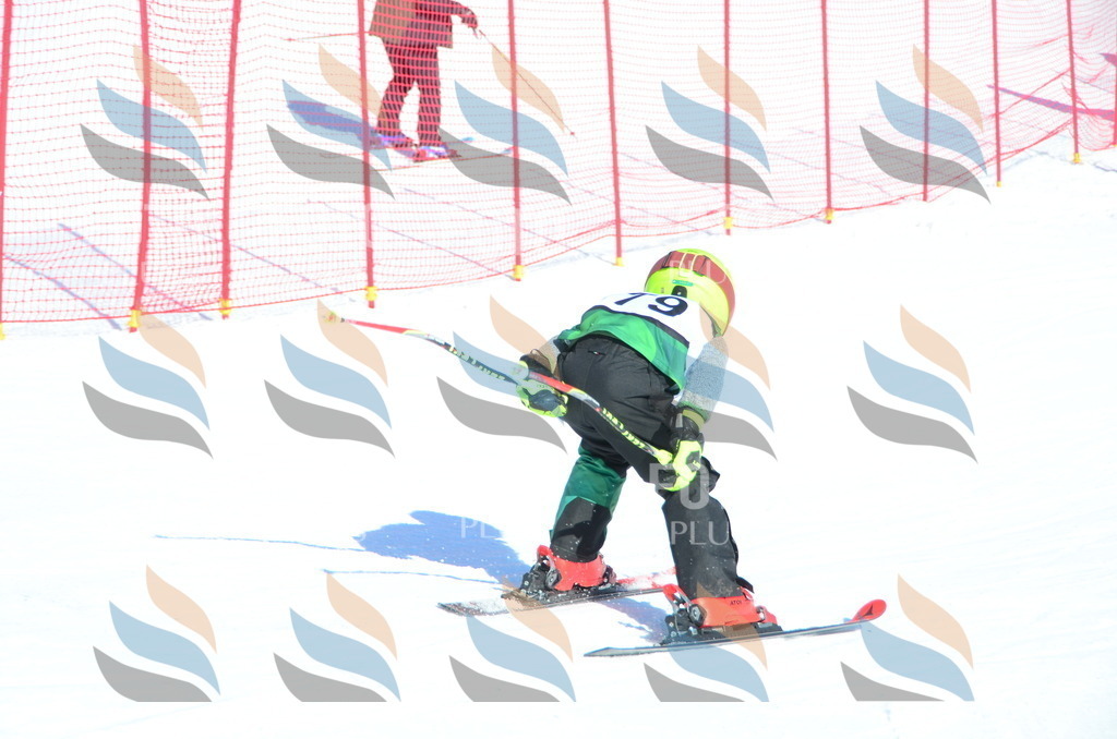 C5573 | holidayphoto