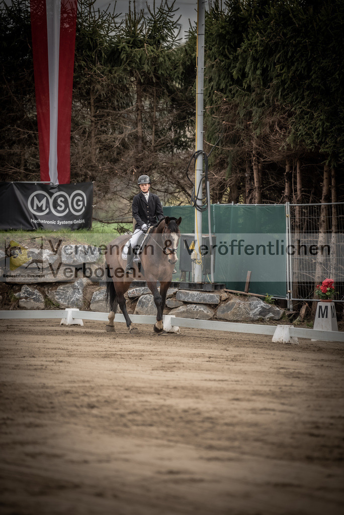DSC_8362 | equestrian-live-com