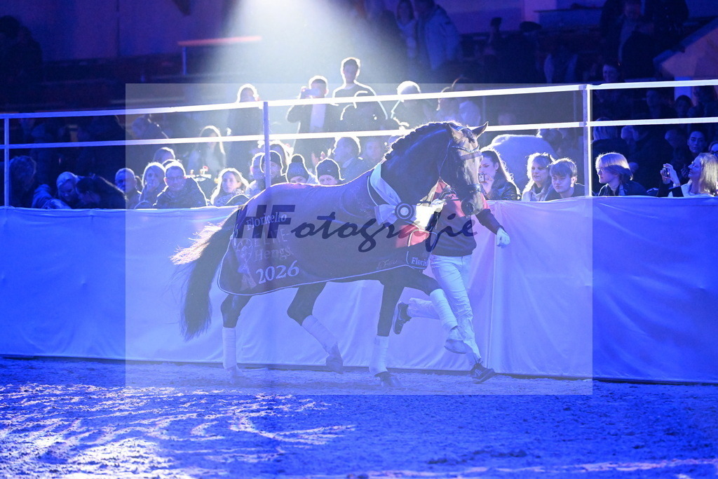 Floricello_Wadenspanner_3263020 | hf-fotografie - Realisiert mit Pictrs.com