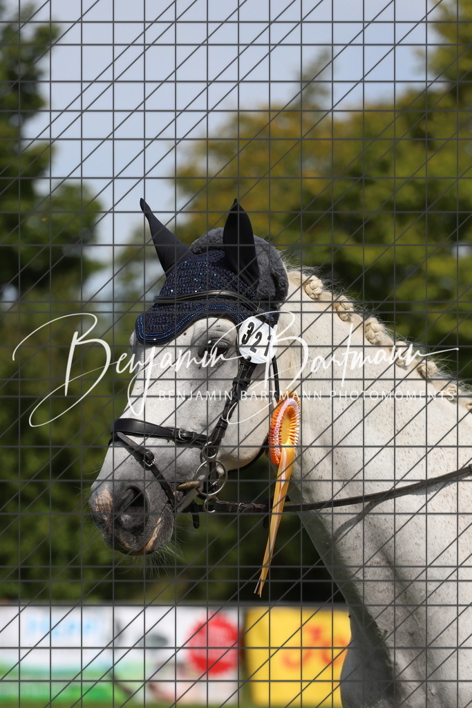 IMG_7481 | Benjamin Bartmann Photomoments