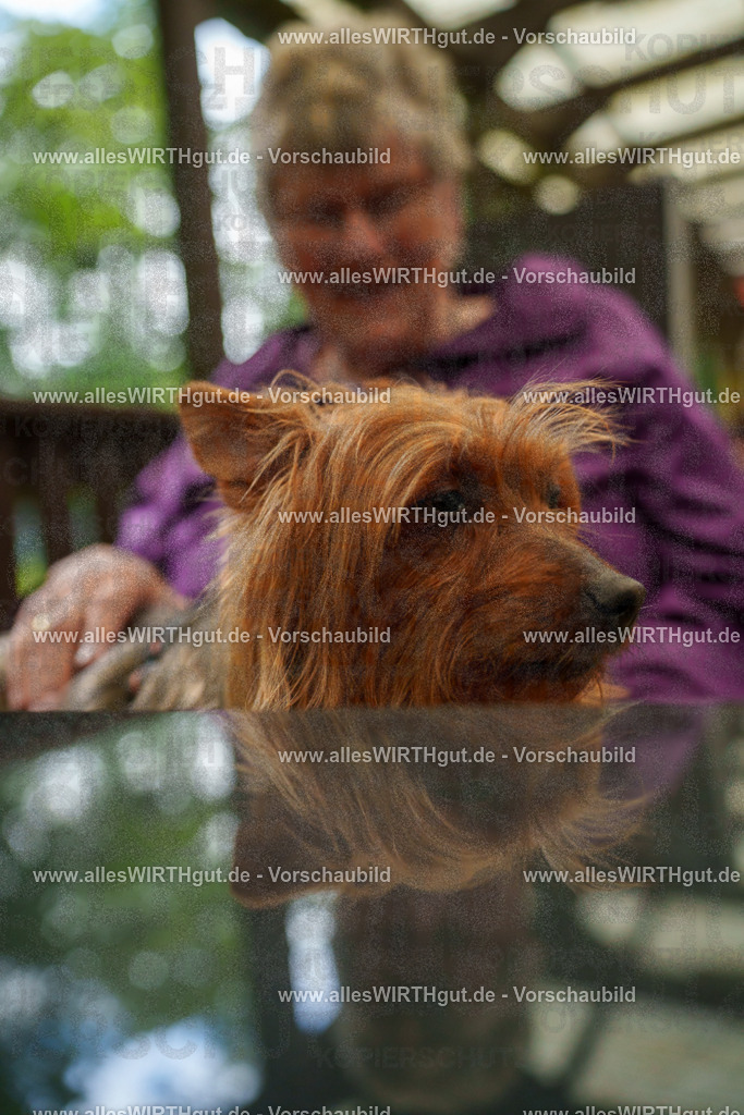 @allesWIRTHgut_Tierfotografie - www.allesWIRTHgut.de - 111522-7R508436 | Professionelle Tierfotografie in Mönchengladbach von Daniel Wirth (allesWIRTHgut). Liebevolle & natürliche Bilder von Hunden & Katzen für unvergessliche Erinnerungen.