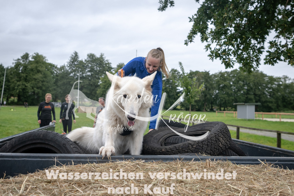 1215_ZZ90025 | kk-dogfotos