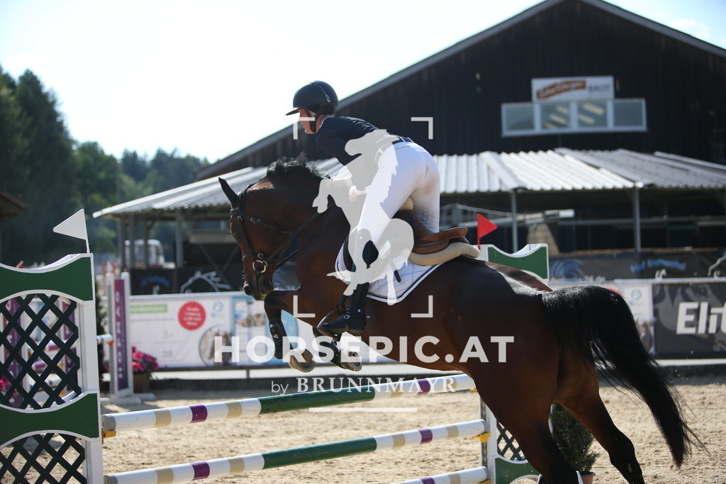 PP016330 | Willkommen bei Brunnmayr - Design & Fotografie – Ihrem Spezialisten für Reitturniere und Pferdeveranstaltungen in Oberösterreich, Salzburg und Bayern! Seit über 17 Jahren sind wir leidenschaftlich dabei.