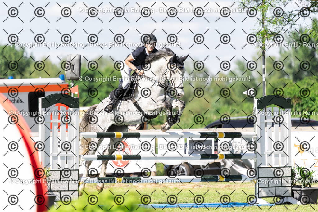 CL5A9001 | Emilia Reinking Fotografie - Realisiert mit Pictrs.com