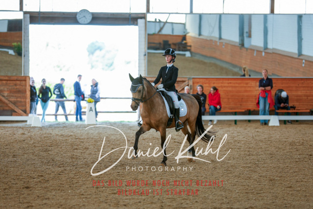 _62_7889 | Turniersportfotografie; Pferdefotografie; Dressurfotografie