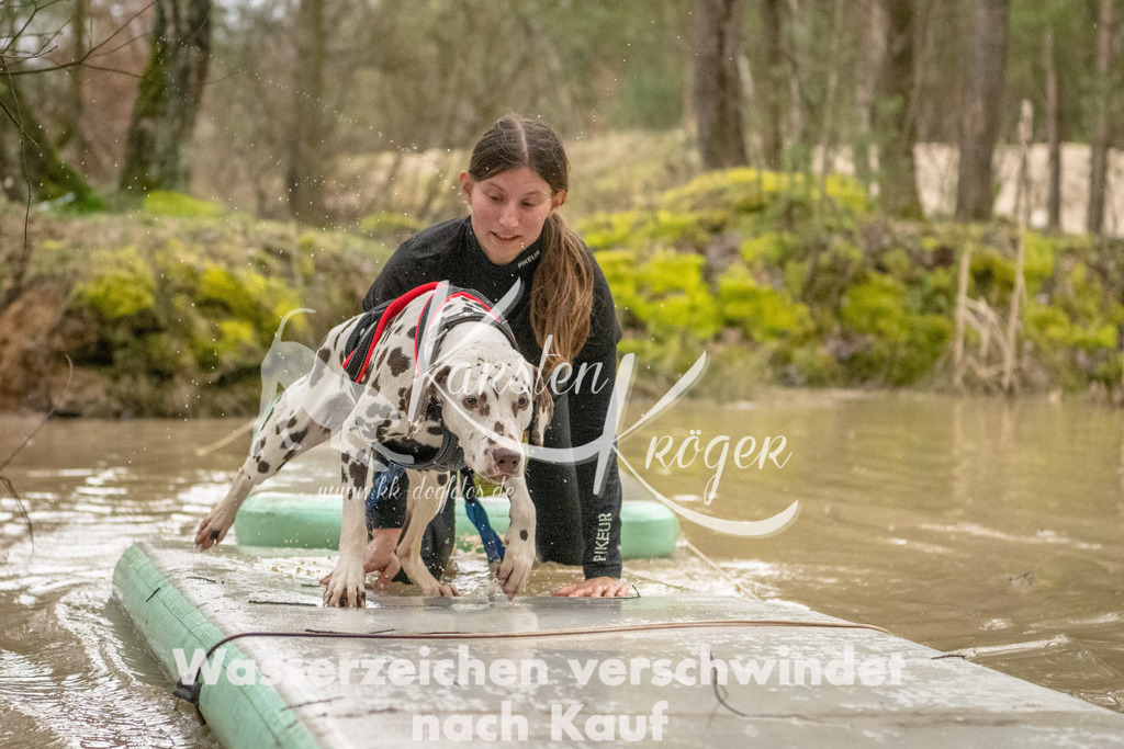 0900_ZZ90064 | kk-dogfotos