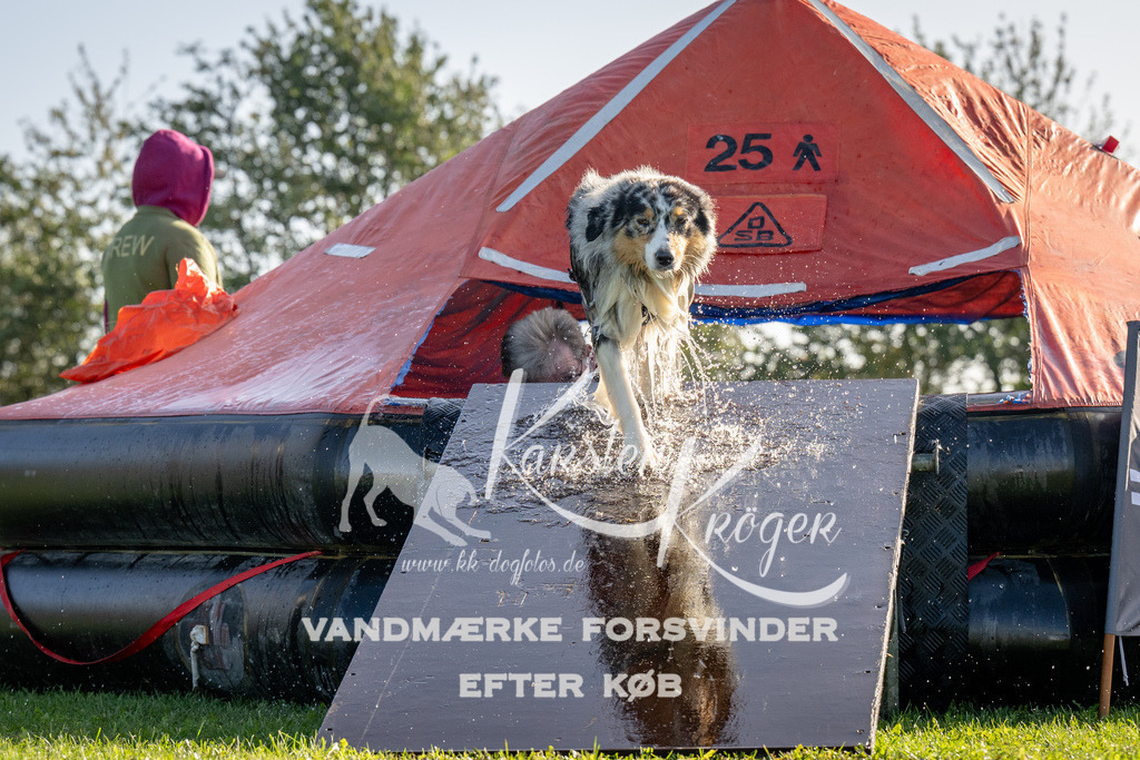 1057-91715 | kk-dogfotos