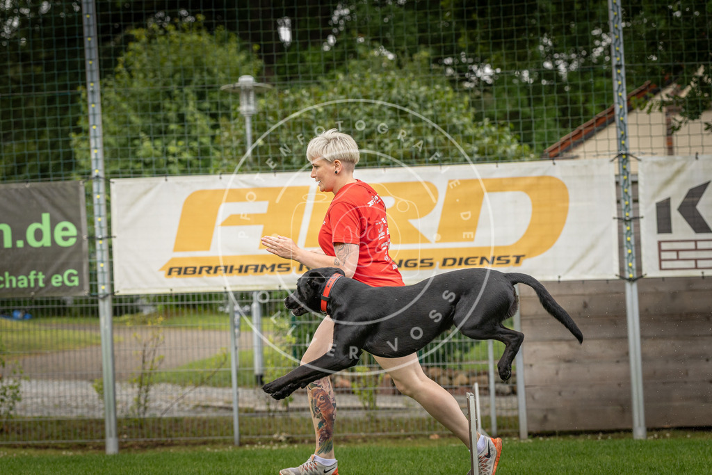 Pfotenfotografie_DV3A5180 | Hundefotografie, Tierfotograf, Pfotenfotografie, Fotoshooting Hund, Hunde Portrait, Hundesport, Hundeportraits, Heideshooting, Hunde, Sportfotograf, Hundefotograf, Turnierhundsport, THS,  - Realisiert mit Pictrs.com