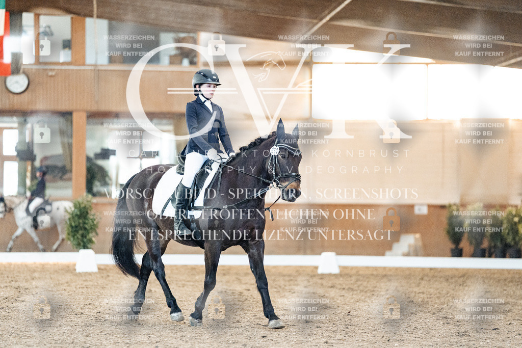 CK906689 | Turnierfotografie Pferdefotografie Trier Rheinland-Pfalz Pferdesport Reitsport Tierfotografie Sportfotografie Pferdevideo Pferdevideografie Equestrianvideography equestrianphotography  - Realisiert mit Pictrs.com