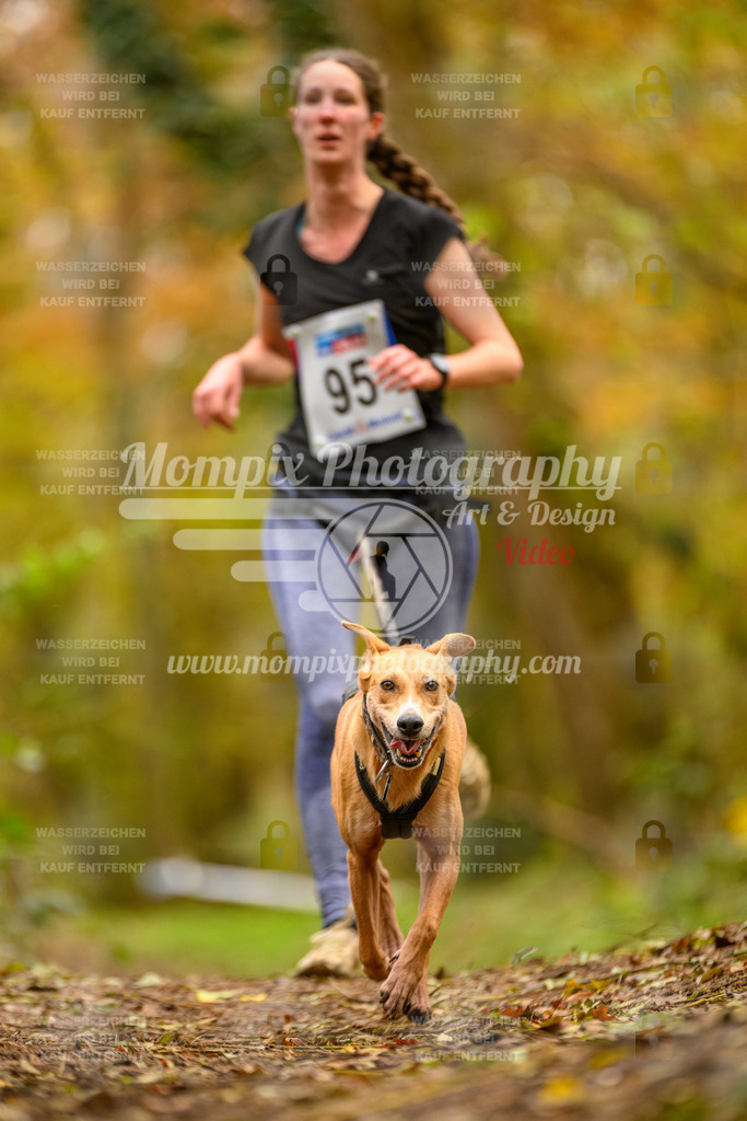 MompixPhotography_Bischwiller24_SA_Canicross-149 | PayLife