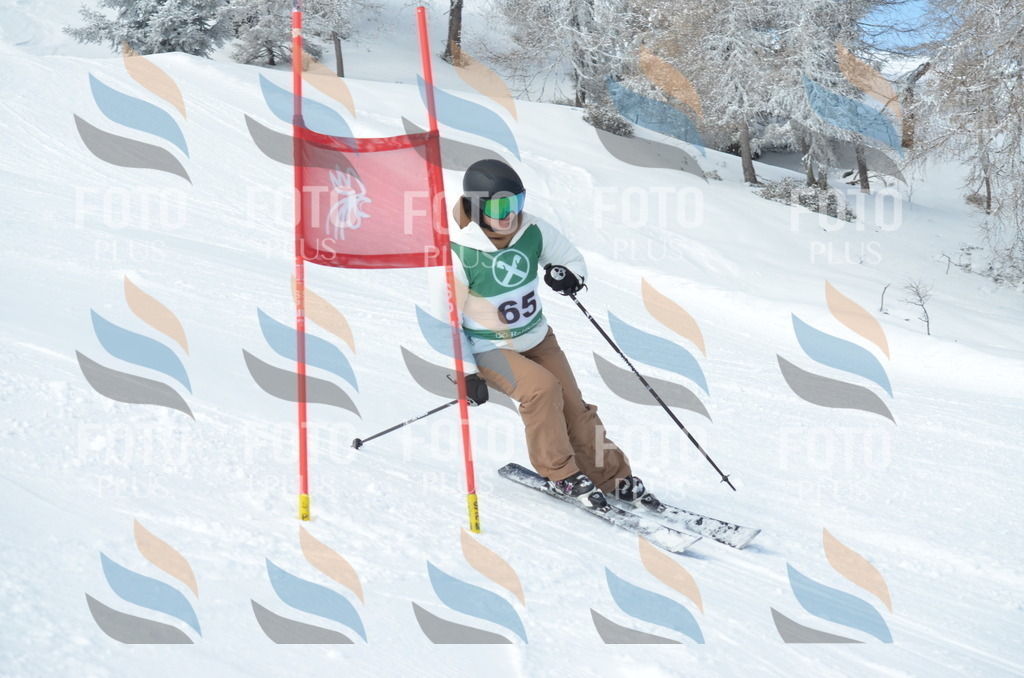 D8883 | holidayphoto