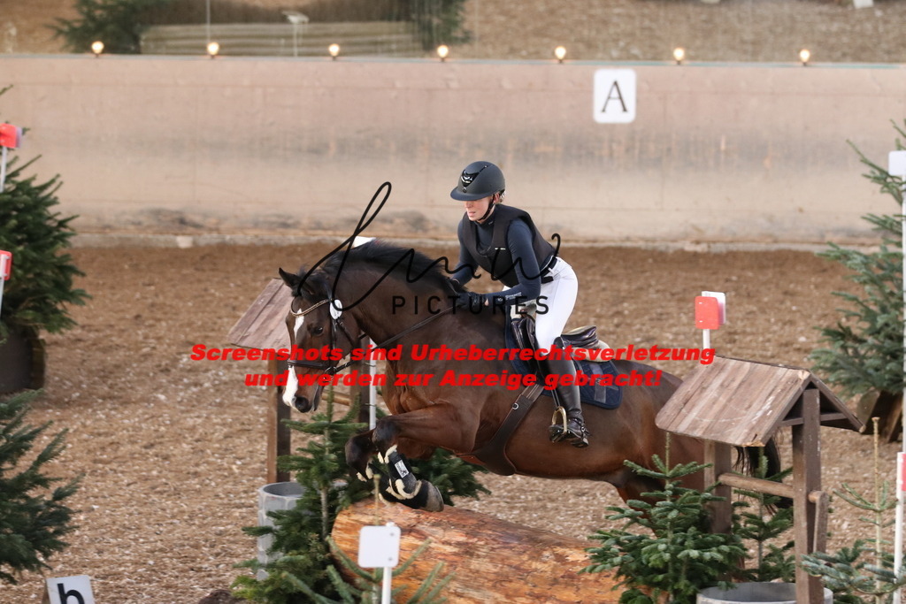 IMG_9727 | lmwpictures - Realisiert mit Pictrs.com