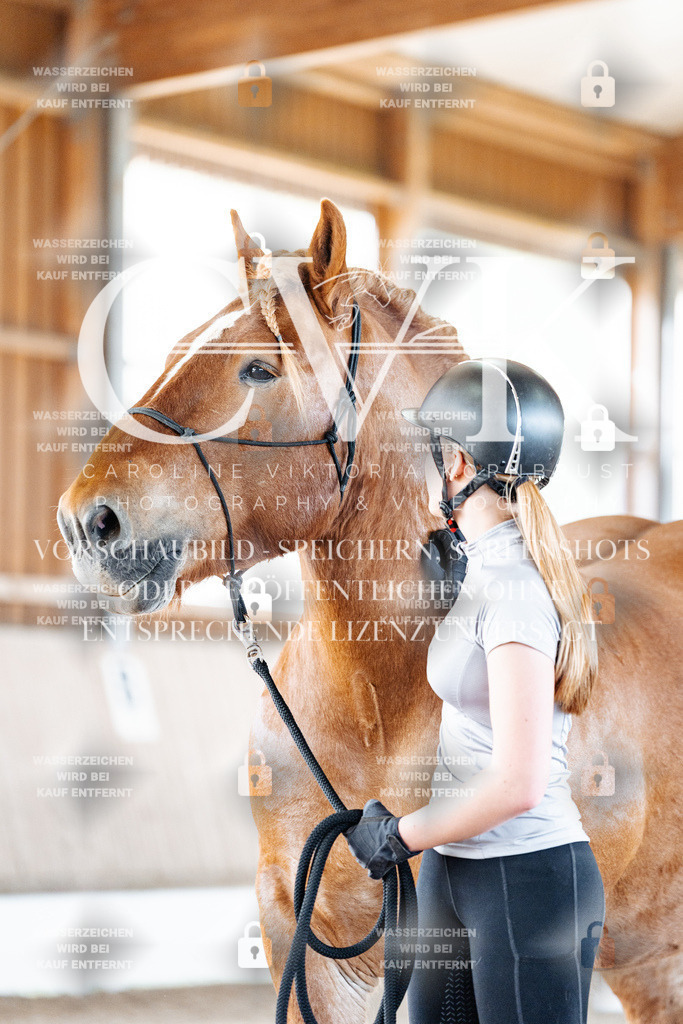 CK905486 | Turnierfotografie Pferdefotografie Trier Rheinland-Pfalz Pferdesport Reitsport Tierfotografie Sportfotografie Pferdevideo Pferdevideografie Equestrianvideography equestrianphotography  - Realisiert mit Pictrs.com