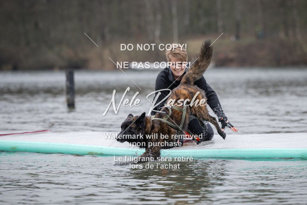 nelerasche_Hulsbeek_Sa1515-1600_582 | nelerasche