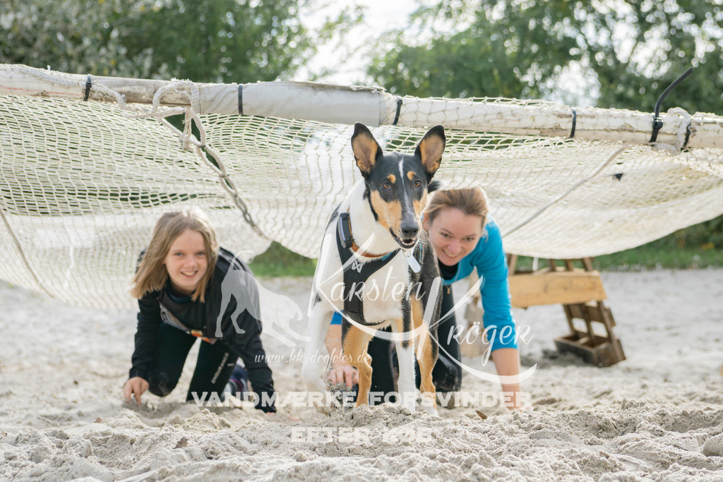 1308_ZZ95423 | kk-dogfotos
