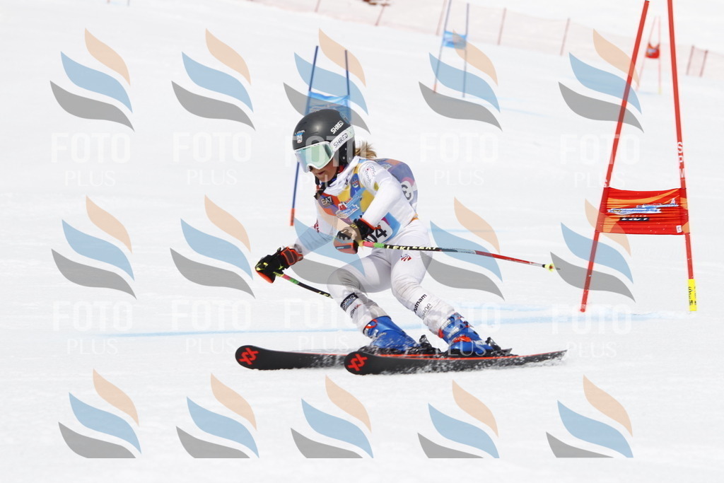 _U3G7577 | holidayphoto