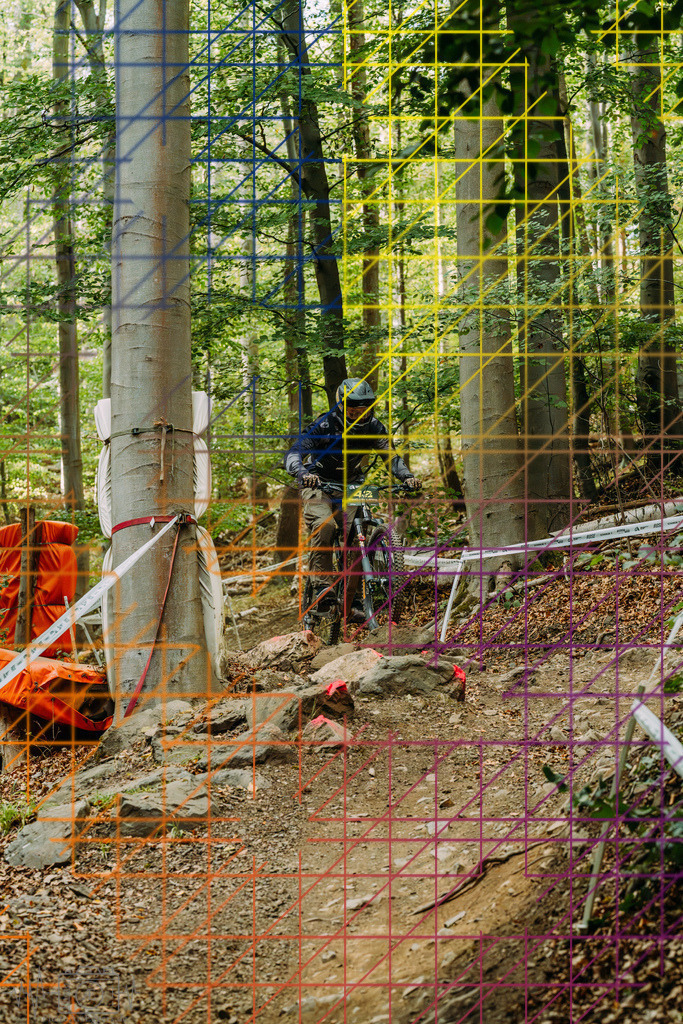 PAE-2466 | Einzigartige Fotokunst für dein Zuhause: Entdecke hochwertige Wandbilder, edle Prints und emotionale Motive von Wildlife, Natur und Landschaften - Realisiert mit Pictrs.com