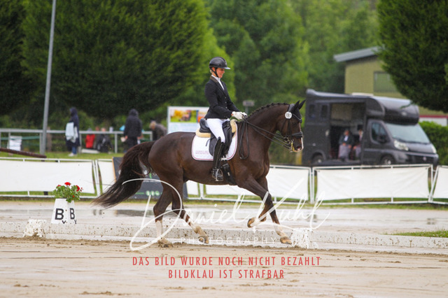 DKP40533 | Turniersportfotografie; Pferdefotografie; Dressurfotografie