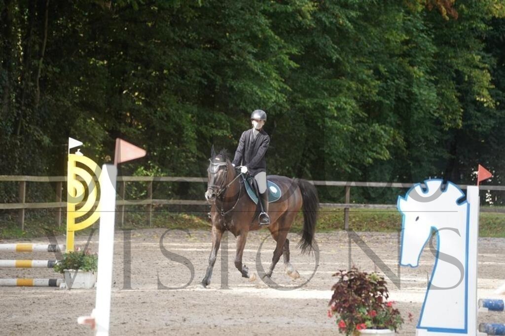 rveinoedsonntag (606) | d.tail Visions - Shop - Realisiert mit Pictrs.com