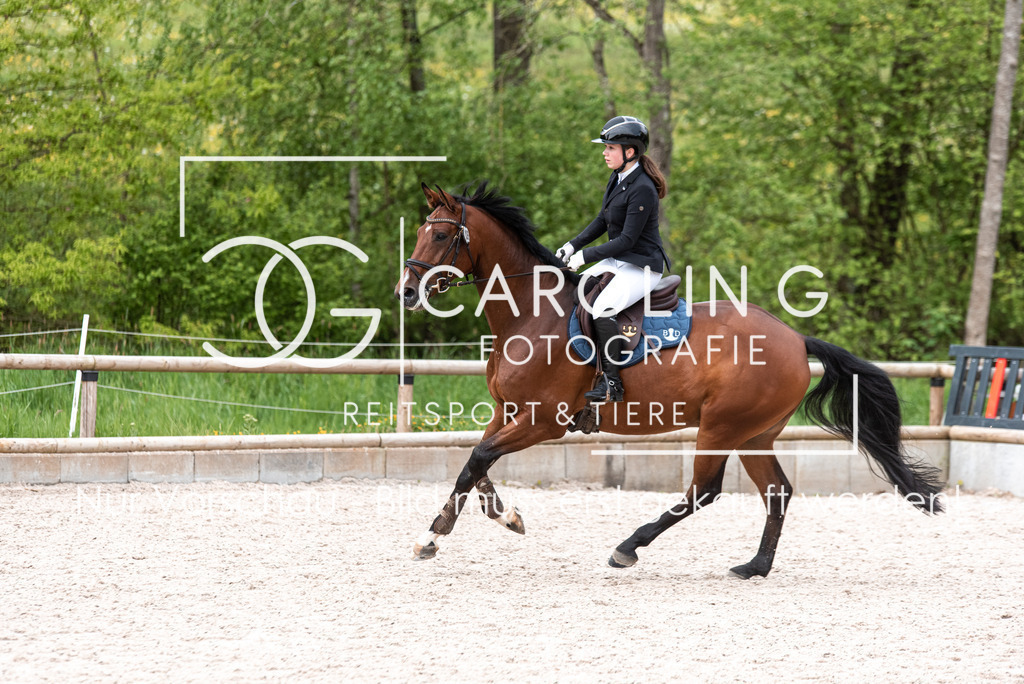 DSC_4700 | Turnierfotografin Carolin Gieschke, Turnierfotografie Carolin G Fotografie, Turnierfotos Kirchheim/Teck, Esslingen, Stuttgart, Bodenseekreis