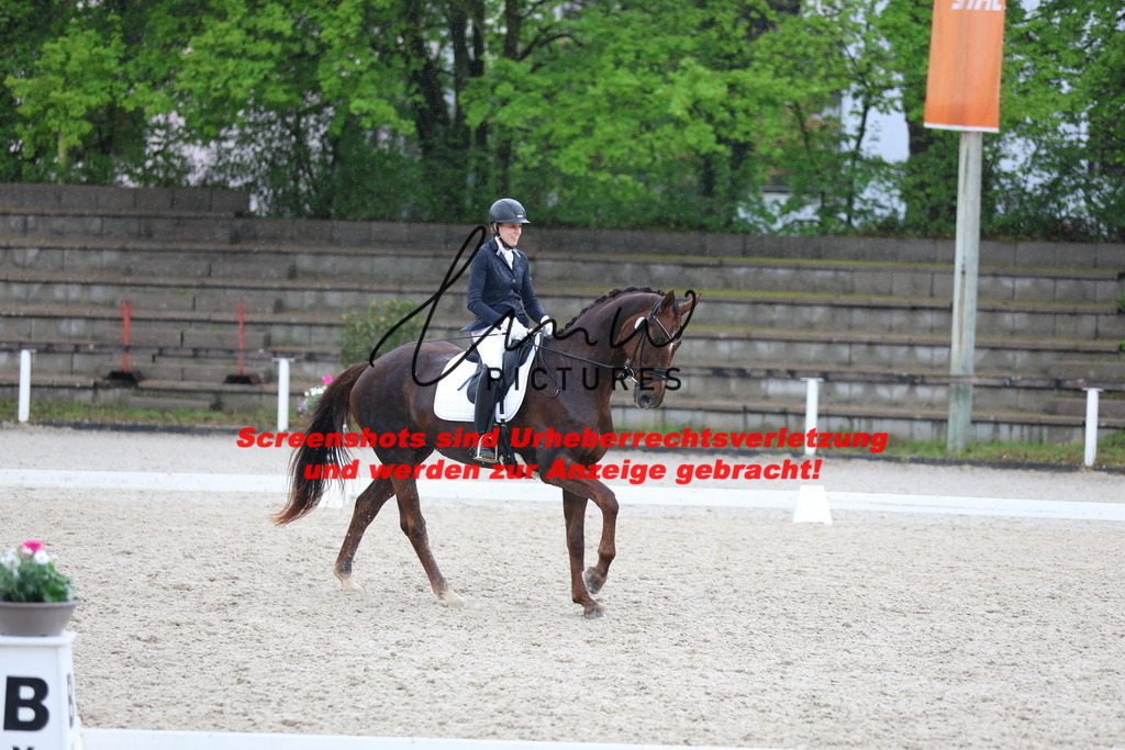 A40A8765 | lmwpictures - Realisiert mit Pictrs.com