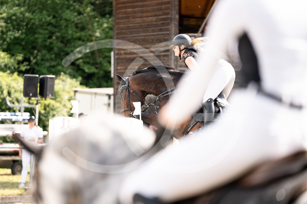 DSC03564 | Carolin Gieschke