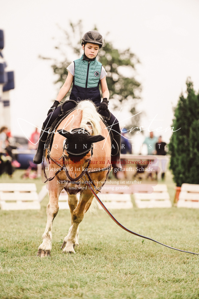 DSC_5317 | Pferde- und Turnierfotografie in Westsachsen. Pferdeportraits, Auftragszeichnungen und intuitive Kunst.