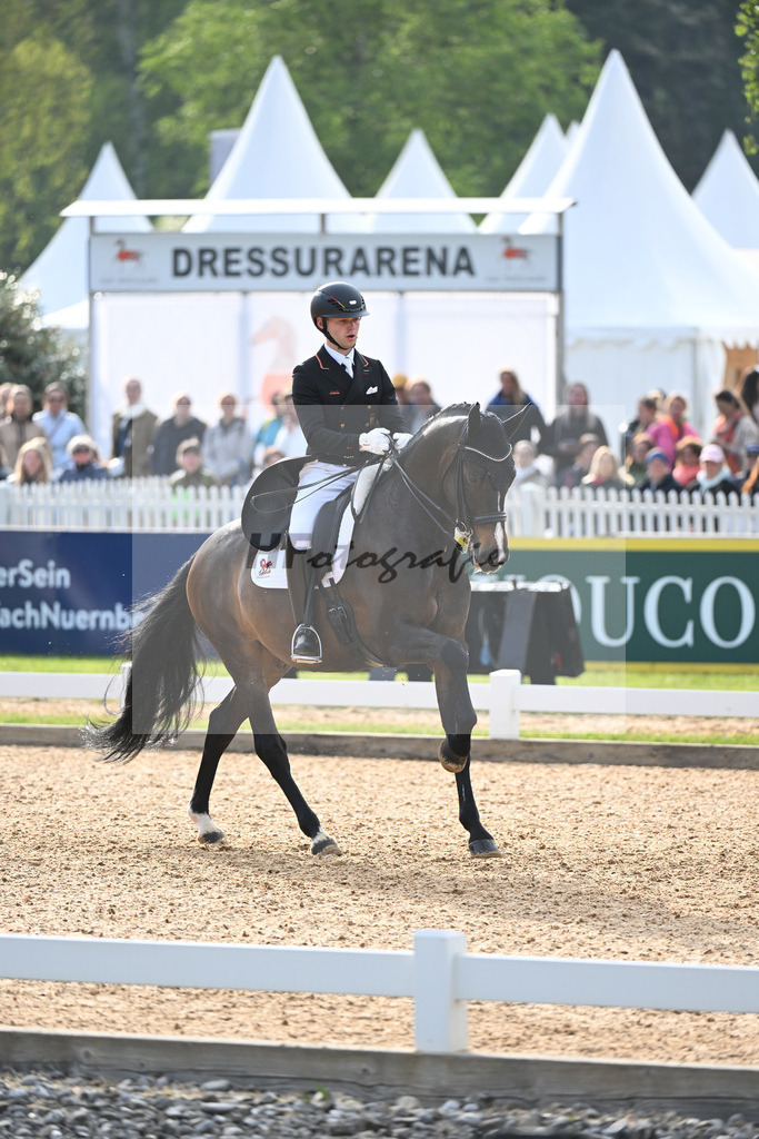 Netz_Great Escape_Camelot_11232957 | hf-fotografie - Realisiert mit Pictrs.com