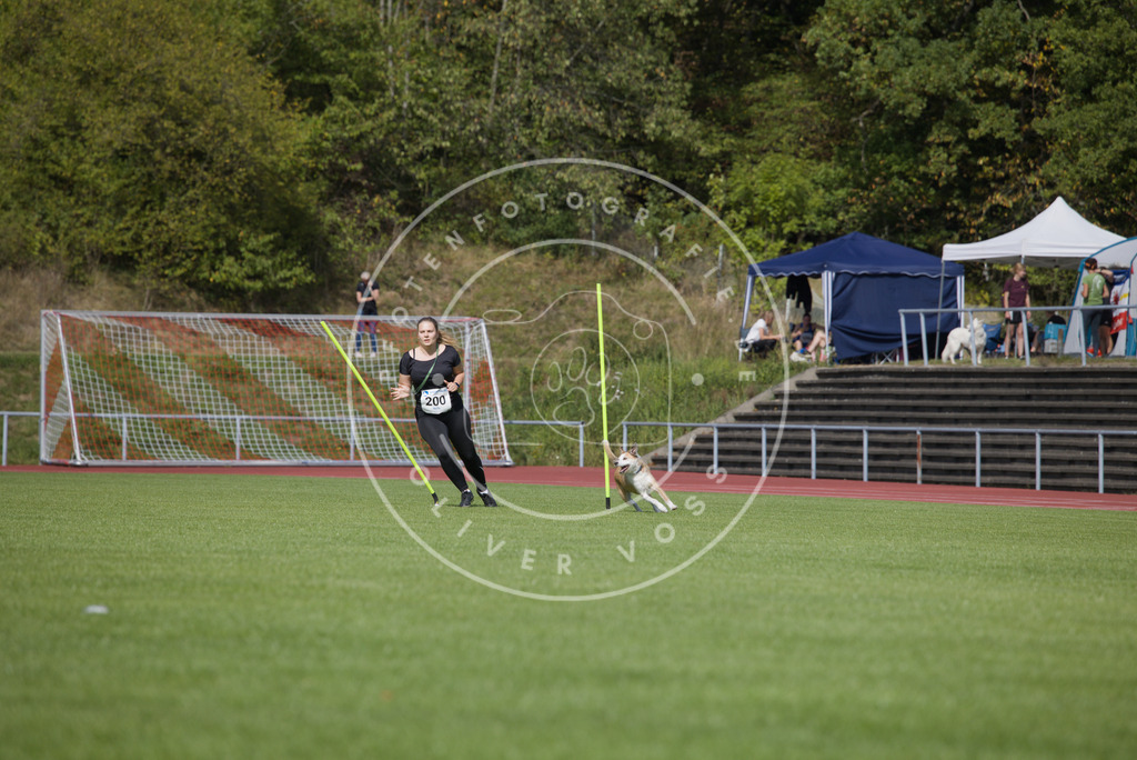 0L8A3476 | Hundefotografie, Tierfotograf, Pfotenfotografie, Fotoshooting Hund, Hunde Portrait, Hundesport, Hundeportraits, Heideshooting, Hunde, Sportfotograf, Hundefotograf, Turnierhundsport, THS,  - Realisiert mit Pictrs.com