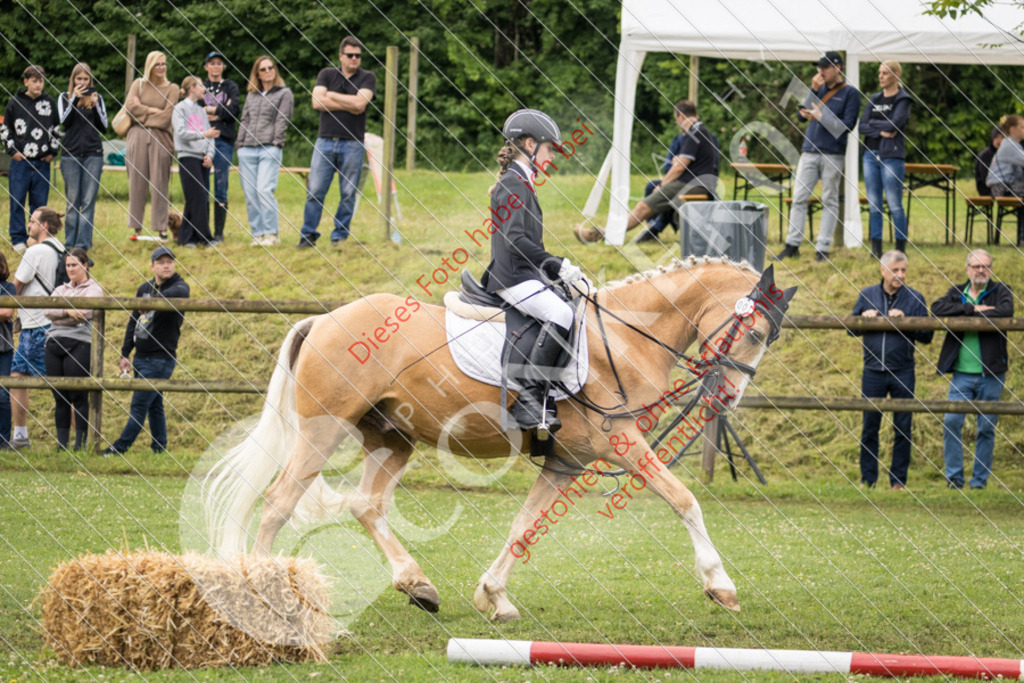 IMG_1810 | Sport-, Event- und Tierfotos in Profiqualität. Einfach auswählen, bestellen und herunterladen. Dein Moment – perfekt festgehalten.