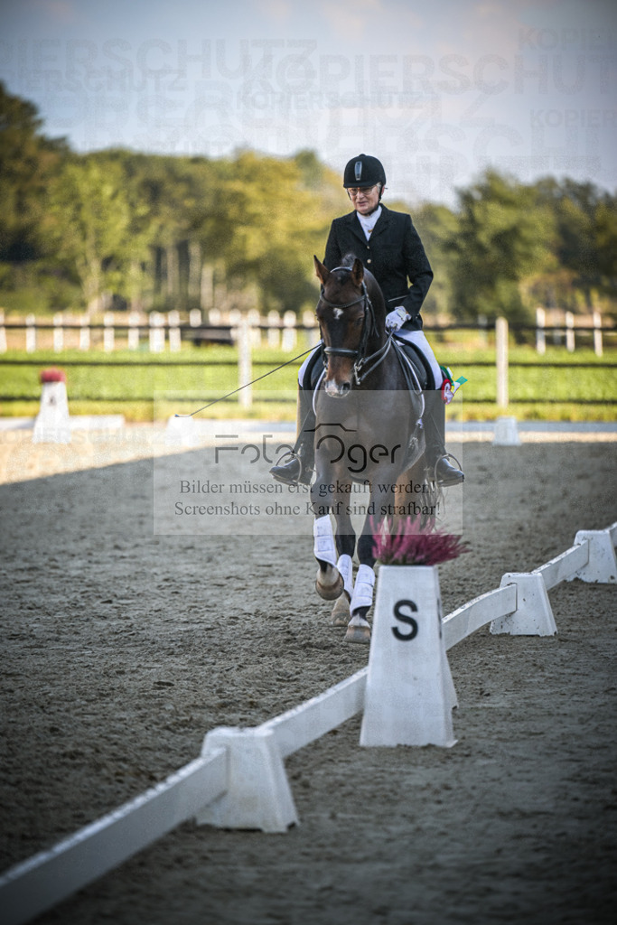 DOS_0150 | Entdecke hochwertige Reitturnierfotos von Foto Oger. Professionell, emotional und authentisch – jetzt Lieblingsmomente im Shop bestellen.Deutschlandweite Turnierfotografie. - Realisiert mit Pictrs.com
