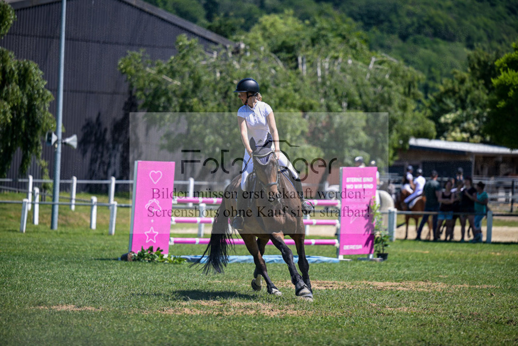 Reitturnier Voxtrup | Entdecke hochwertige Reitturnierfotos von Foto Oger. Professionell, emotional und authentisch – jetzt Lieblingsmomente im Shop bestellen. - Realisiert mit Pictrs.com