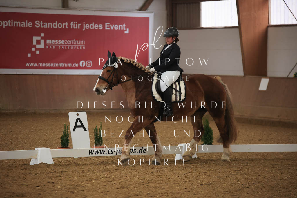 IMGT0535 | pl-fotografie