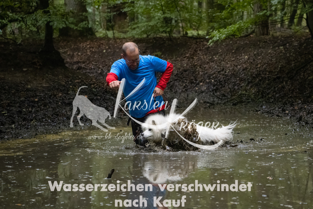 0936_ZZ90847-Bearbeitet | kk-dogfotos