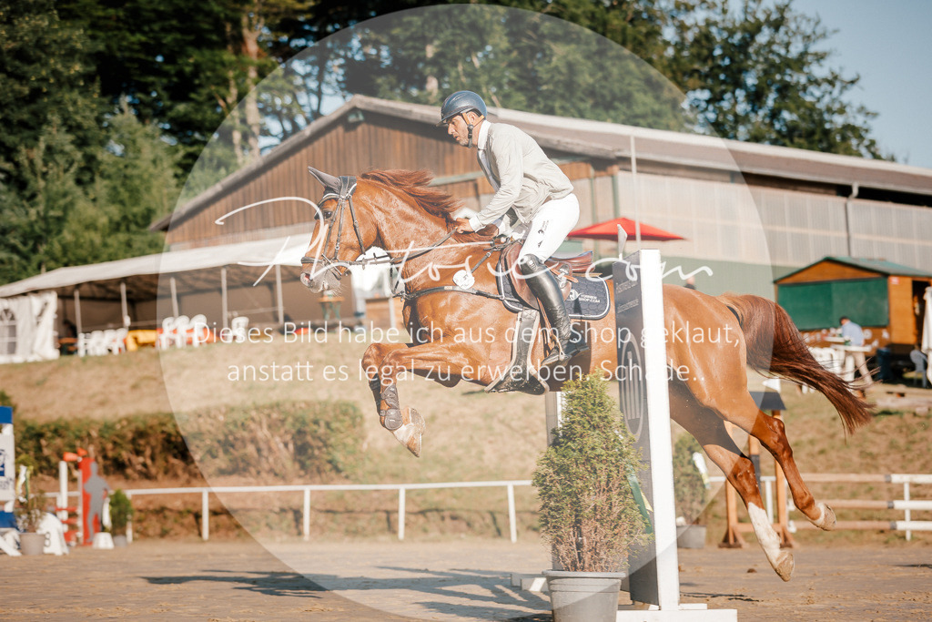 3I6A6085 | Stimmungsvolle Portraits und Reitsportfotografie im Ruhrgebiet und im Münsterland.

Pferdefotografie, Hundefotografie, Tierfotografie, Reportagen, Portraits von Tier und Mensch, Turnierfotografie in Bochum, Recklinghausen, Marl, Haltern am See, Dülmen.. - Realisiert mit Pictrs.com