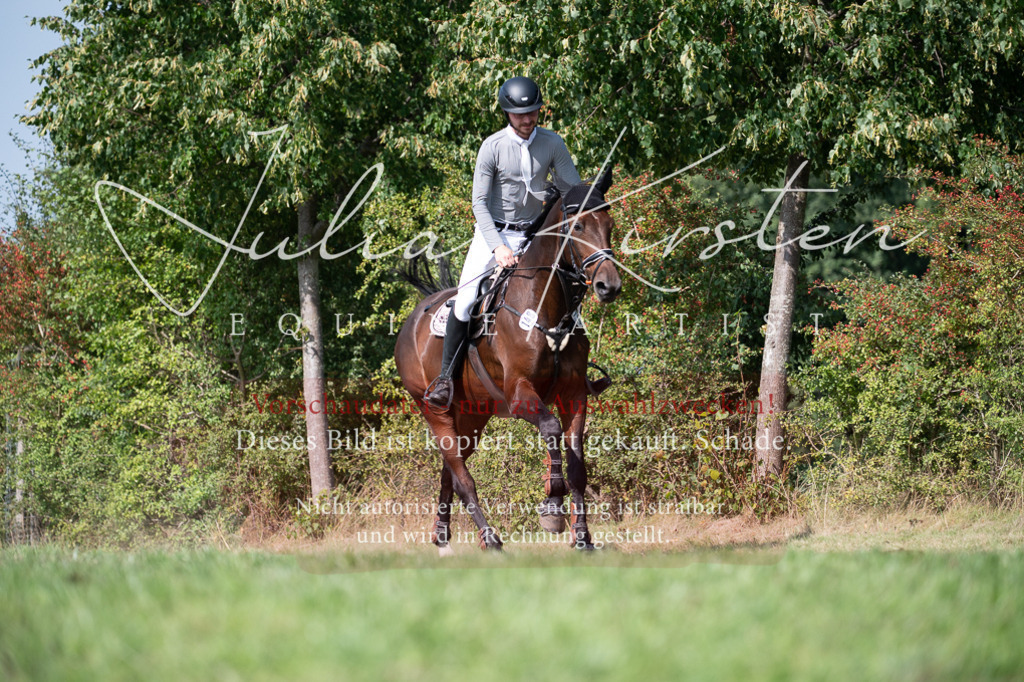 DSC_0925 | Pferde- und Turnierfotografie in Westsachsen. Pferdeportraits, Auftragszeichnungen und intuitive Kunst.