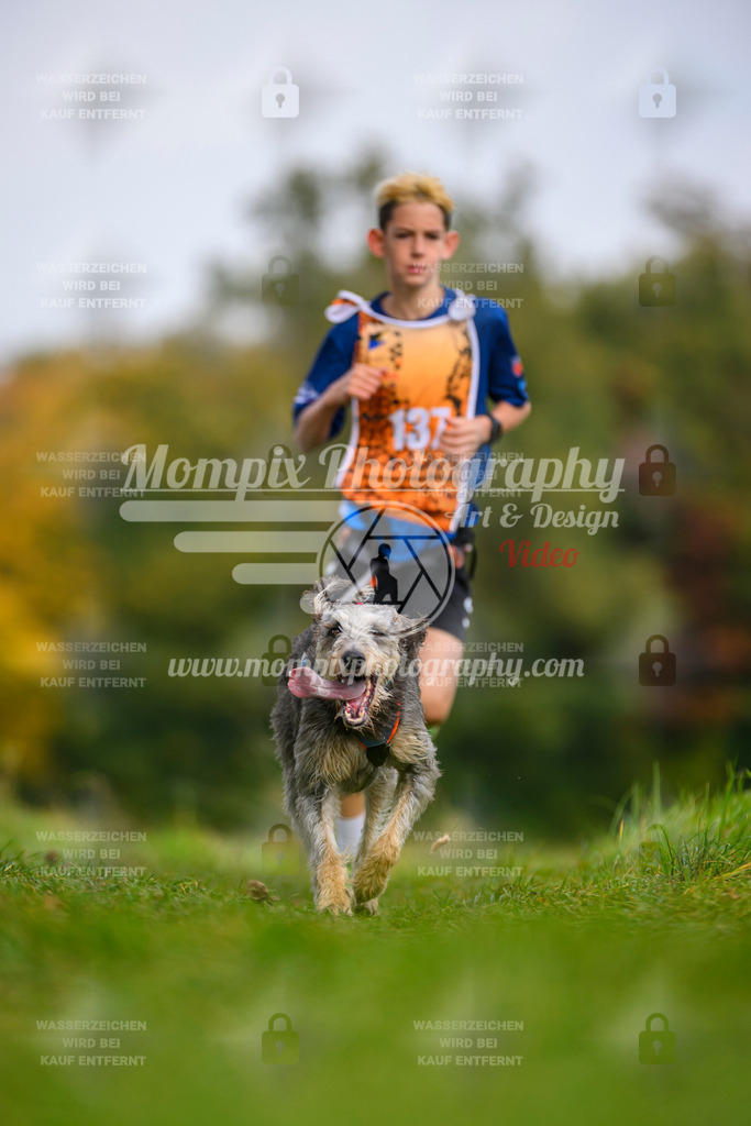 MompixPhotography_CDLBDB2025_DI_CC-93 | PayLife