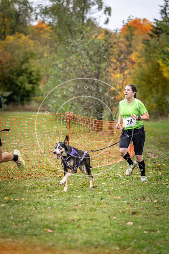 Pfotenfotografie_DV3A2067 | Hundefotografie, Tierfotograf, Pfotenfotografie, Fotoshooting Hund, Hunde Portrait, Hundesport, Hundeportraits, Heideshooting, Hunde, Sportfotograf, Hundefotograf, Turnierhundsport, THS,  - Realisiert mit Pictrs.com