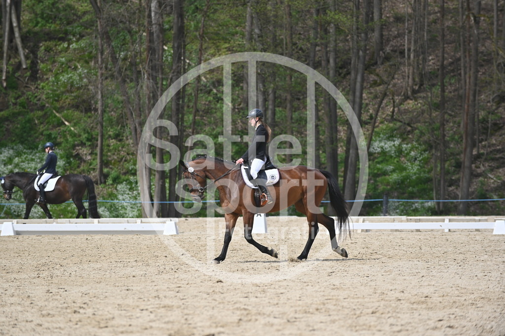 DSC_3405 | sattelsport - Realisiert mit Pictrs.com