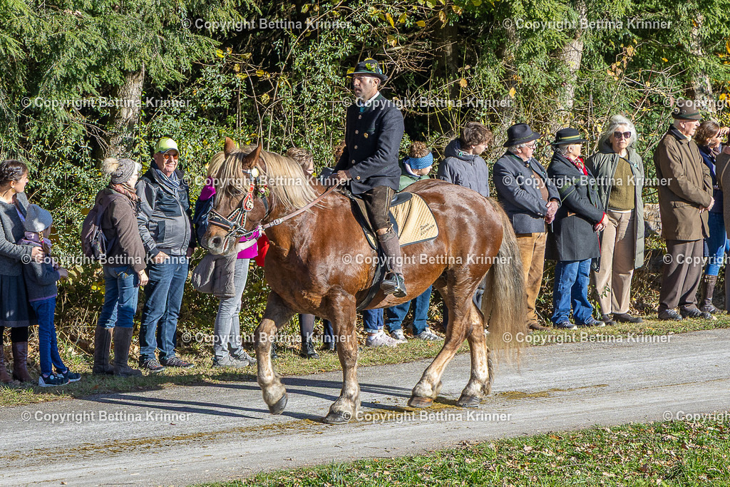 LBT25-586 | foto-bettina-krinner - Realisiert mit Pictrs.com