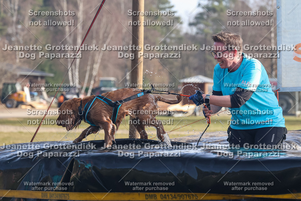 Dog Paparazzi - Strongdog North Mrz26-655 | Dog Paparazzi Jeanette Grottendiek Fotografie & Videografie - Realisiert mit Pictrs.com