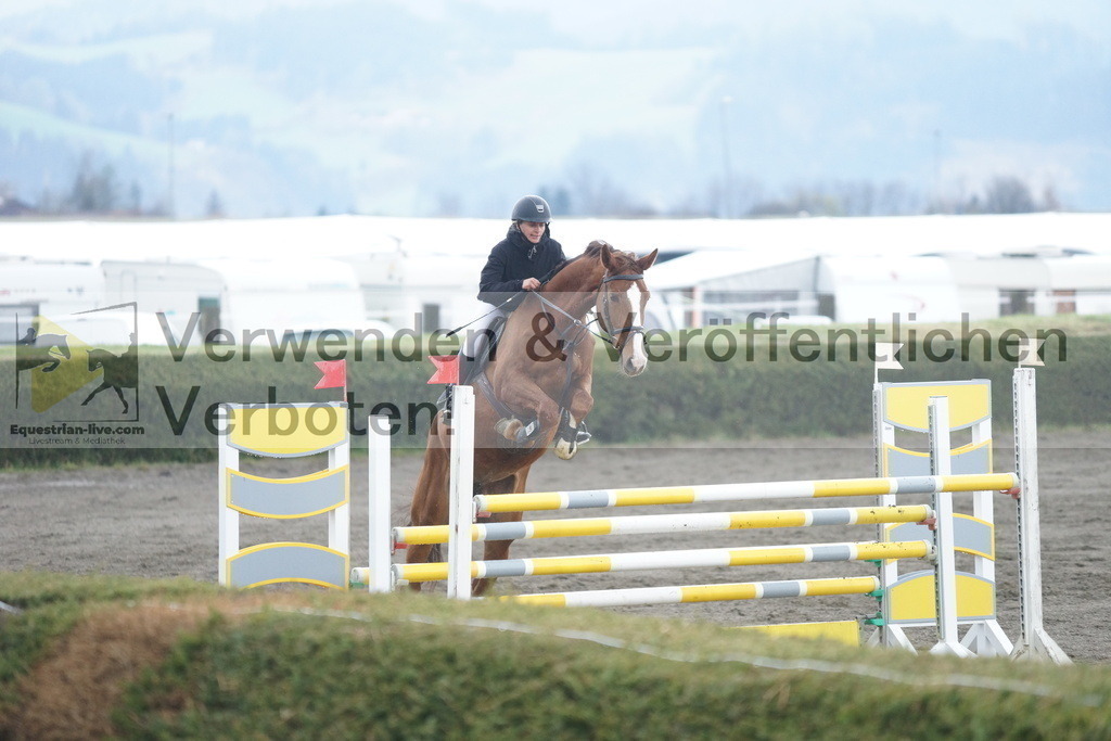 DSC01717 | equestrian-live-com