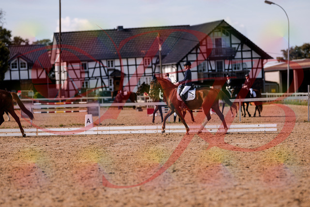 2026_10_03_Siefer-Hof_133145_Z81_86290770 | Professionelle Reitsport-, Turnier- und Eventfotografie von Robert Broda. Galerien mit ausgewählten und bearbeiteten Bildern direkt online ansehen und bestellen.