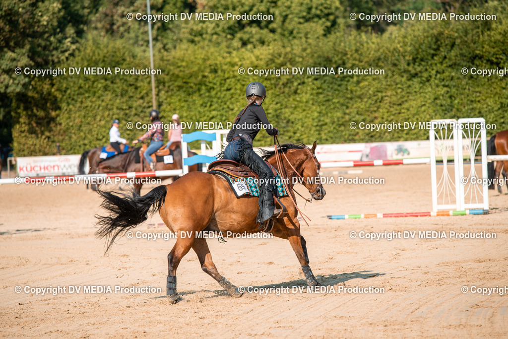 ZS2_8879 | dv-media-shop - Realisiert mit Pictrs.com