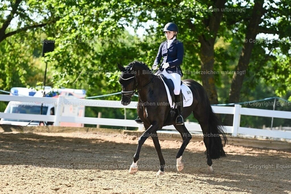 20230715_06_Dressurpferdeprfg. Kl.A_0233 | equistock