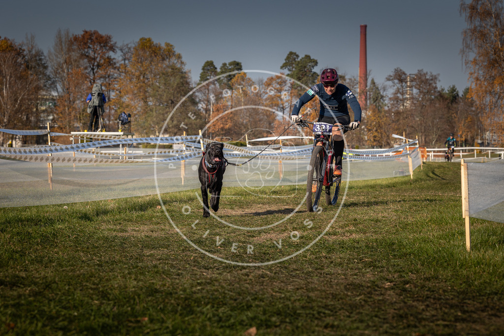 CaniXpix_0L8A8176 | Hundefotografie, Tierfotograf, Pfotenfotografie, Fotoshooting Hund, Hunde Portrait, Hundesport, Hundeportraits, Heideshooting, Hunde, Sportfotograf, Hundefotograf, Turnierhundsport, THS,  - Realisiert mit Pictrs.com