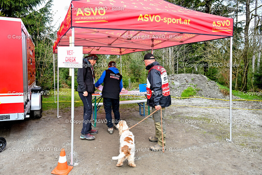 ASVÖ_ Tracking Dog World Championship 2025_ 31.03.2025-17 | 31.03.2025, AUT, ASVÖ, Tracking Dog World Championship // FCI IGP Fährtenhundeweltmeisterschaft 2025©fodo.media / Harald Dostal - Realisiert mit Pictrs.com