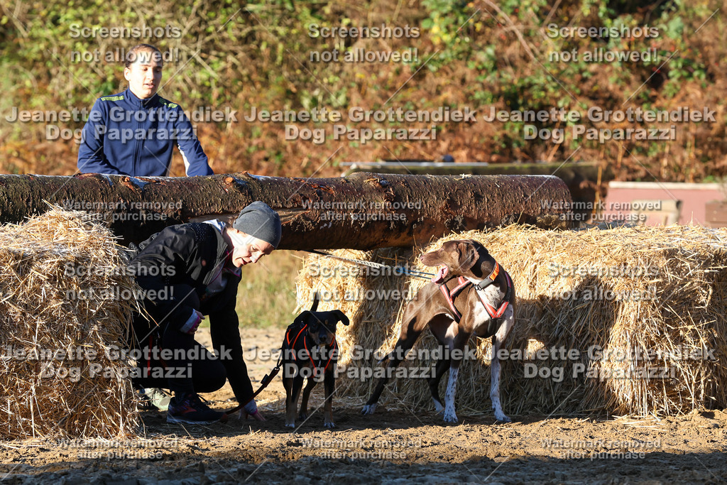 Dog Paparazzi - Strongdog 10-25-913 | Dog Paparazzi Jeanette Grottendiek Fotografie & Videografie - Realisiert mit Pictrs.com