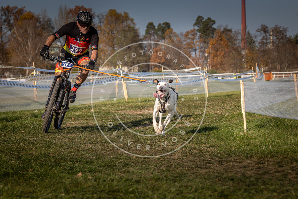CaniXpix_0L8A7616 | Hundefotografie, Tierfotograf, Pfotenfotografie, Fotoshooting Hund, Hunde Portrait, Hundesport, Hundeportraits, Heideshooting, Hunde, Sportfotograf, Hundefotograf, Turnierhundsport, THS,  - Realisiert mit Pictrs.com